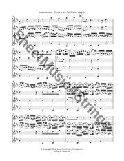 Pachelbel J. - Canon In D (Four Violins) Quartets