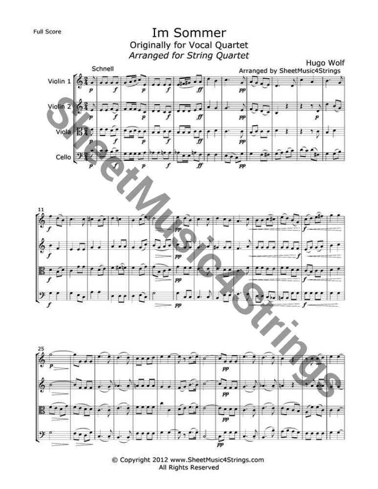 Wolf Hugo - Im Sommer (String Quartet) Quartets