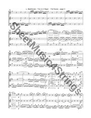 Beethoven, L. - Trio in C, Op. 87, Mvt. 1 (2 Violins, Cello) freeshipping - SheetMusic4Strings