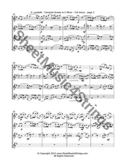 Locatelli P. - Concerto Grosso In E Minor Mvt. 2 (4 Violins) Quartets
