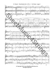 Mozart W.a. - Divertimento No. 5 Mvt. 1 (2 Violins And Cello) Trios